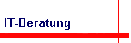 IT-Beratung