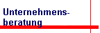 Unternehmens- 
 beratung